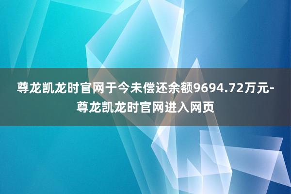 尊龙凯龙时官网于今未偿还余额9694.72万元-尊龙凯龙时官网进入网页