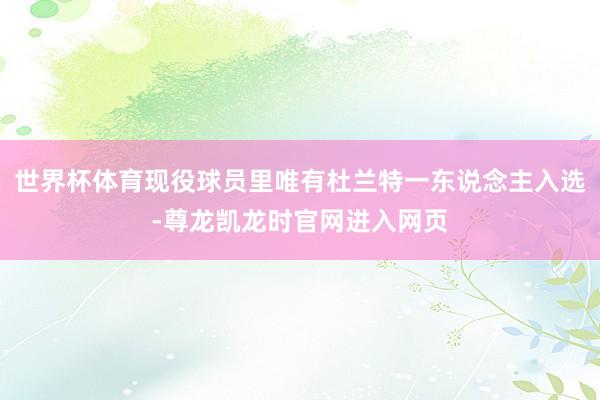 世界杯体育现役球员里唯有杜兰特一东说念主入选-尊龙凯龙时官网进入网页