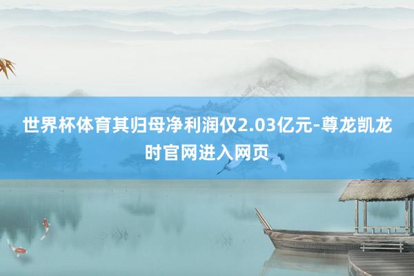 世界杯体育其归母净利润仅2.03亿元-尊龙凯龙时官网进入网页