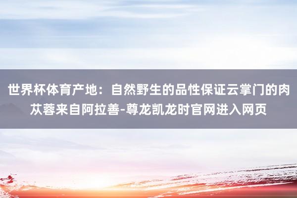 世界杯体育产地：自然野生的品性保证云掌门的肉苁蓉来自阿拉善-尊龙凯龙时官网进入网页
