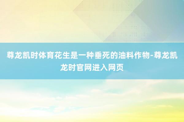 尊龙凯时体育花生是一种垂死的油料作物-尊龙凯龙时官网进入网页